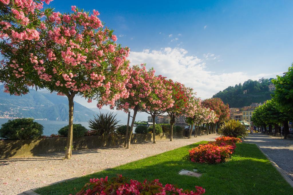 Vila Bellagio'S Sunrise Exteriér fotografie
